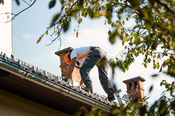 Best Gutter Installation and Roofing  in North College Hill, OH